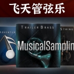 飞天管弦乐 全9套合集 Musical Sampling