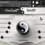 太极神韵氛围音色 Big Fish Audio Ambient White