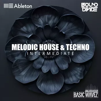 Basic Wavez (Intermediate) Write 2 Melodic House and Techno Tracks with Bound to Divide TUTORiAL-FANTASTiC