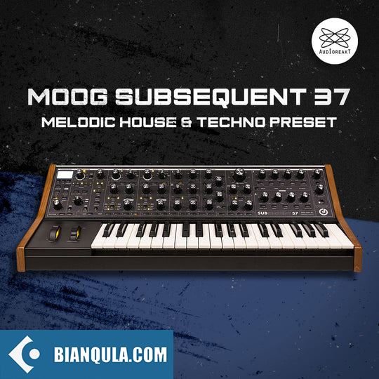 Audioreakt MOOG Subsequent 37 : Melodic House & Techno Presets