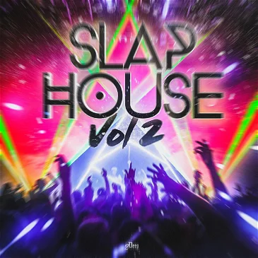2Deep Beats Slap House Vol 2 WAV MiDi-FANTASTiC