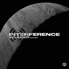 Yung Robin Interference Sound Kit WAV MiDi FST Serum Presets-FANTASTiC