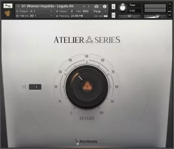 圣歌合唱团2 – Musical Sampling Anthem Choir 2 KONTAKT