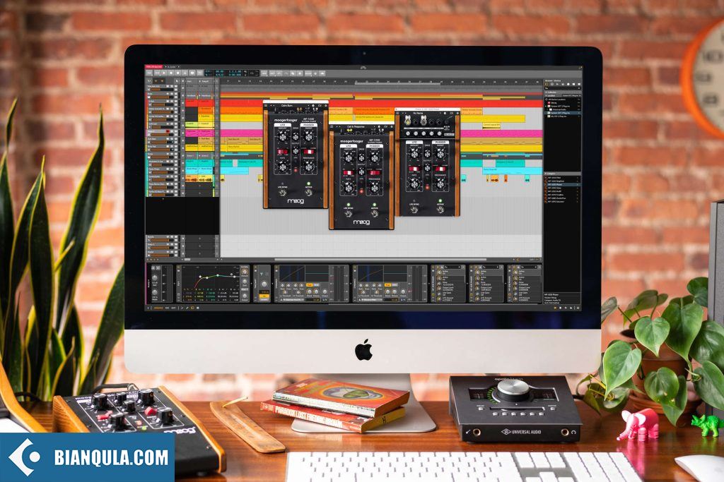 Moog Music Software Moogerfooger Effects v1.3.0 ARM Mac