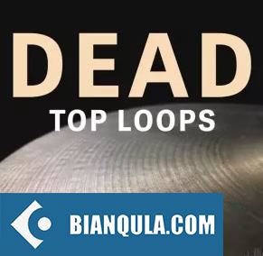 Circles DEAD TOP LOOPS Samples Drums WAV