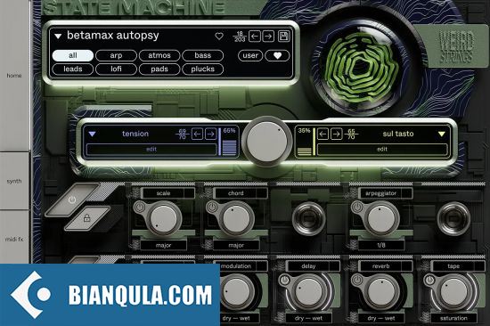 怪异的弦乐 – Cradle State Machine Weird Strings 1.0.2 WIN