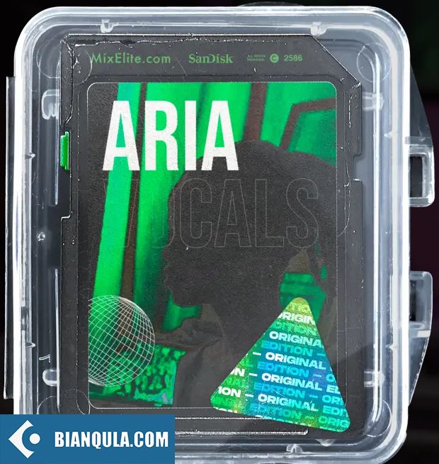 Mix Elite Aria Vol. 1 Vocal Runs and Hooks WAV FST-FANTASTiC