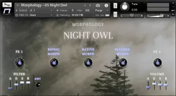NEST Acoustics Morphology KONTAKT-FANTASTiC