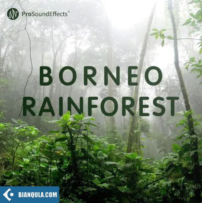 Pro Sound Effects Borneo Rainforest WAV-FANTASTiC