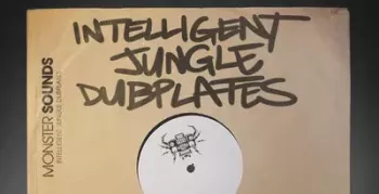 Loopmasters Intelligent Jungle Dub Plates WAV