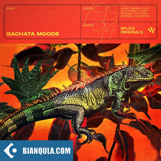 Splice Originals Bachata Moods WAV-FANTASTiC