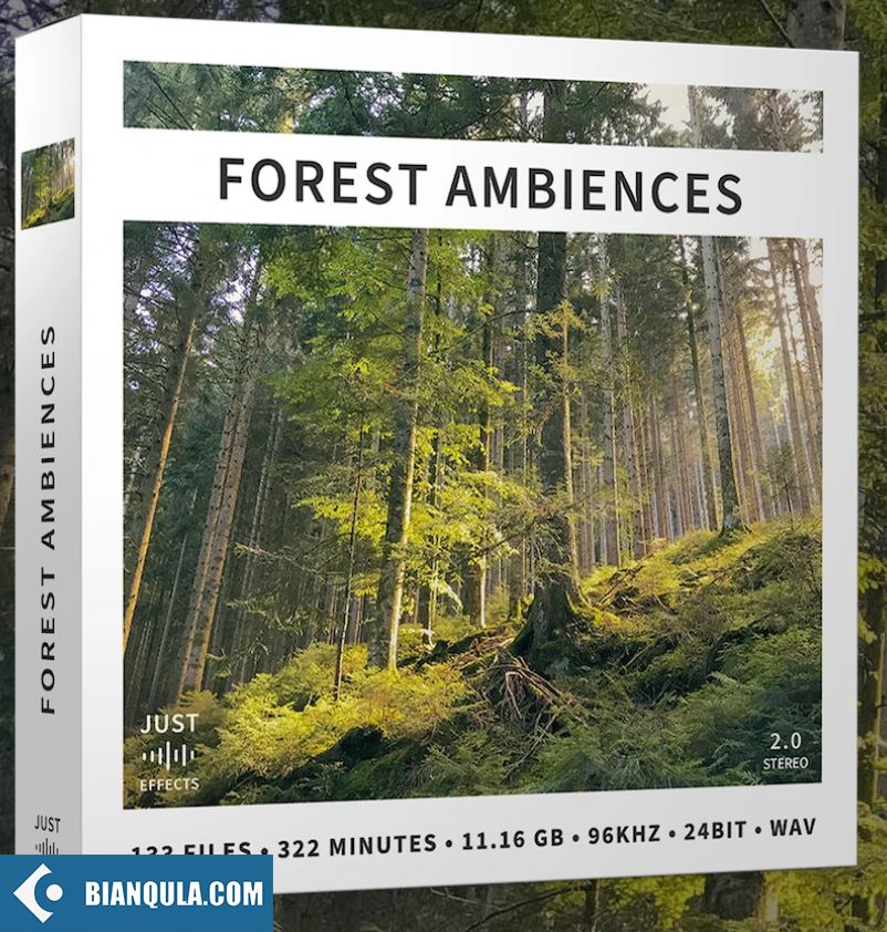 Just Sound Effects Forest Ambiences WAV