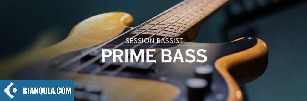 电贝斯 – Native Instruments Session Bassist Prime Bass v1.0.1 KONTAKT