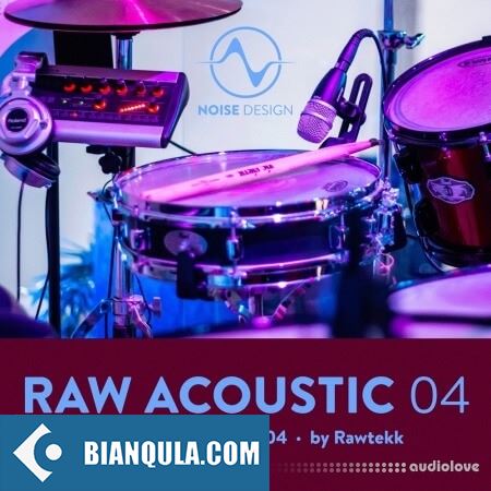 Steinberg Noise Design Raw Acoustic DnB & IDM 4 VSTSOUND