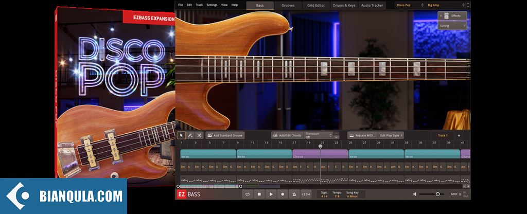 Toontrack Disco Pop EBX (SOUNDBANK)