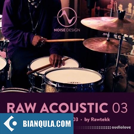 Steinberg Noise Design Raw Acoustic DnB & IDM 3 VSTSOUND