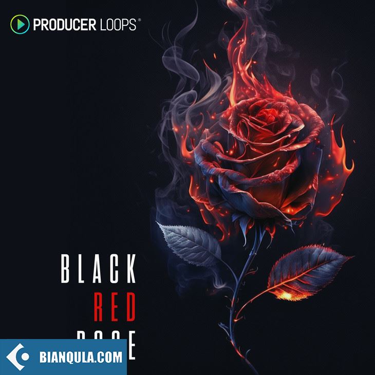 Producer Loops Black Red Rose MULTiFORMAT-FANTASTiC
