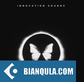 Innovation Sounds Mastermind Driving Techno + 100 Serum Preset WAV MiDi XFER RECORDS SERUM-FANTASTiC