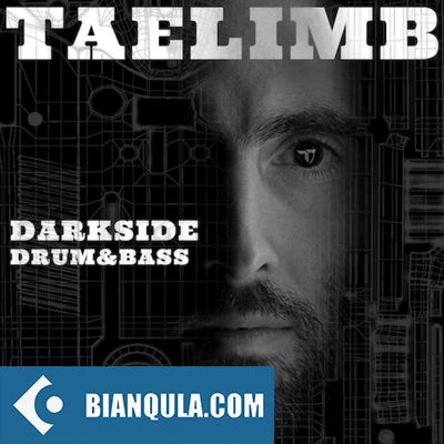 Digit Sounds Taelimb Darkside Drum and Bass WAV Logic Pro X-FANTASTiC