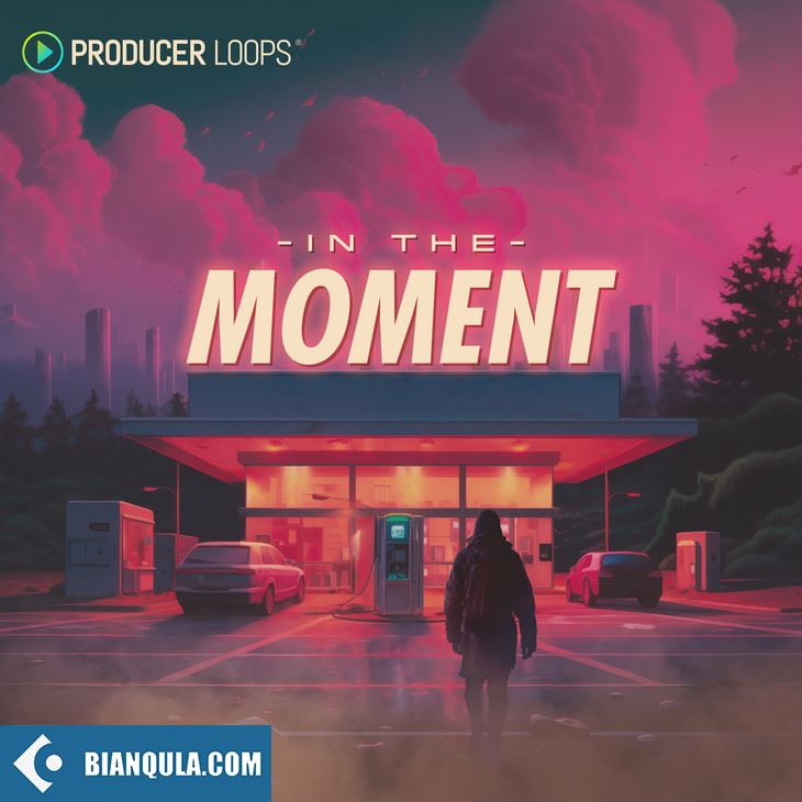 Producer Loops In The Moment MULTiFORMAT-FANTASTiC