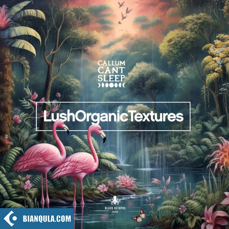 Black Octopus Sound Lush Organic Textures By CallumCantSleep WAV-GTA