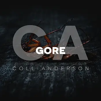 C.A. Sound Inc Gore WAV-FANTASTiC