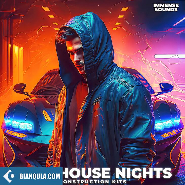 Immense Sounds Slap House Nights WAV MIDI Serum-DECiBEL