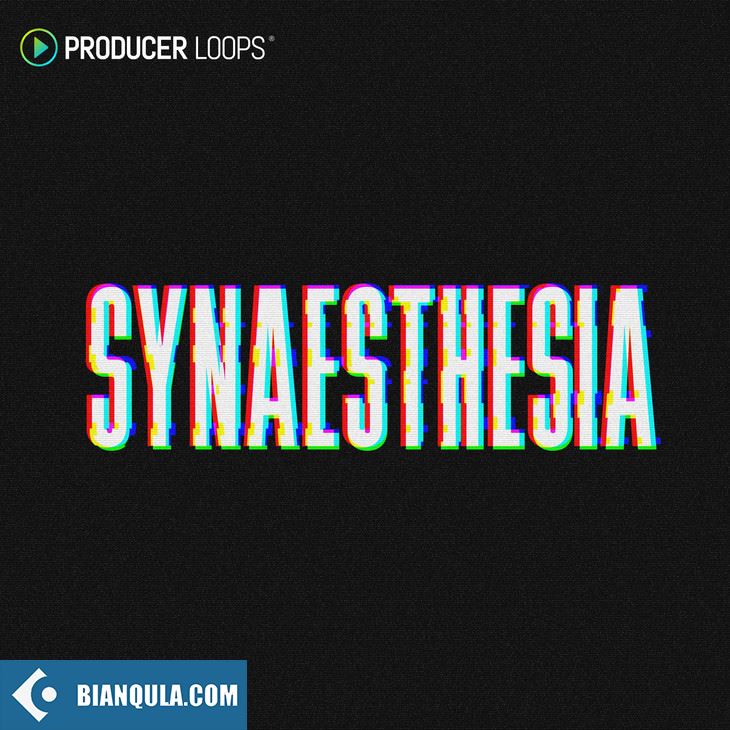 Producer Loops Synaesthesia MULTiFORMAT-FANTASTiC