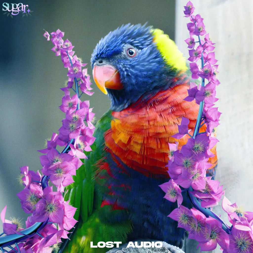 Lost Audio Sugar Sample Collection WAV MiDi-FANTASTiC