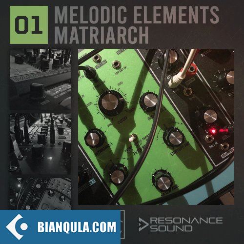 Resonance Sound Melodic Elements 01 Matriarch WAV MiDi