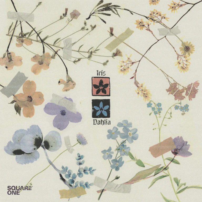 Oscar Zulu Square One Music Library Dahlia and Iris Multi-Kit WAV-FANTASTiC