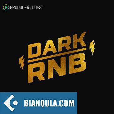 Producer Loops Dark RnB MULTiFORMAT-DECiBEL