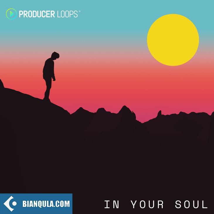 Producer Loops In Your Soul MULTIFORMAT