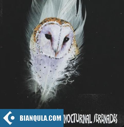 NightOWL Nocturnal Serenades (Compositions and Stems) WAV-FANTASTiC