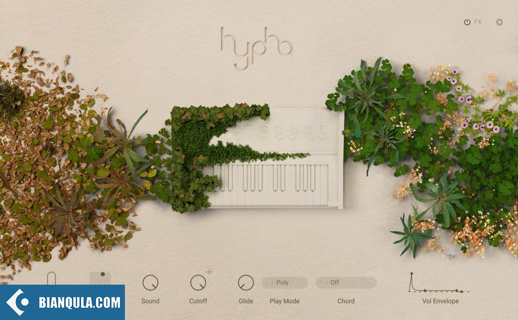 Native Instruments HYPHA 1.1.0 KONTAKT