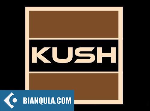 插件包自动安装版 – Kush Audio RePack Auto-installation WIN