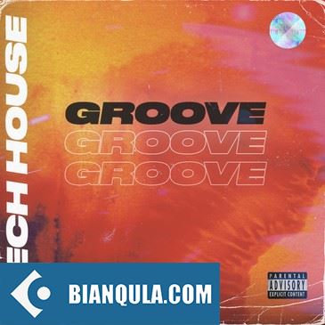 Banger Samples Tech House Groove WAV REX Spire Presets-FANTASTiC