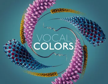 Native Instruments Vocal Colors KONTAKT