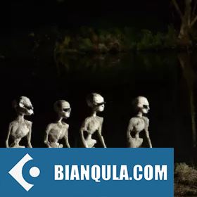 gyard Skeletons by Gyard WAV-FANTASTiC