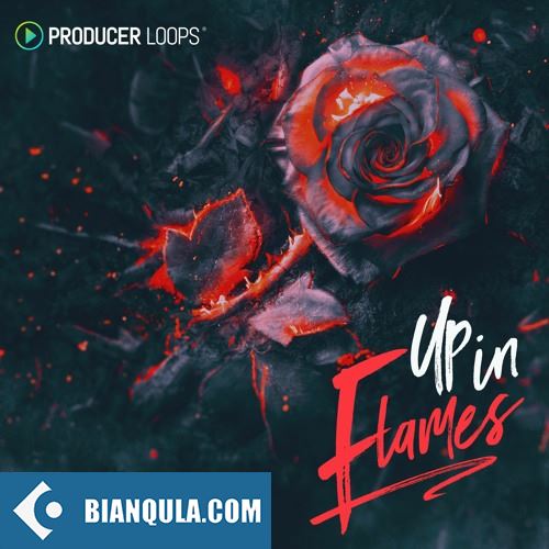 Producer Loops Up In Flames MULTIFORMAT