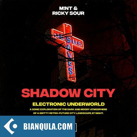 Montage by Splice Shadow City: Electronic Underworld WAV