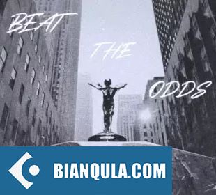 Lonegud Beat The Odds WAV-FANTASTiC