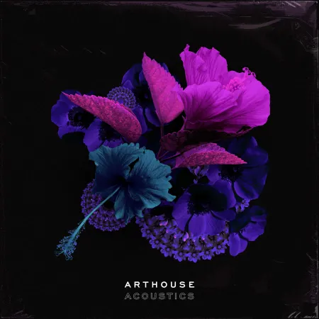 Arthouse Acoustics GloFi: RnB and Hip Hop WAV-FANTASTiC
