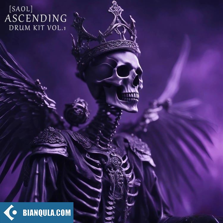 SAOL Ascending Drum Kit VOL.1 WAV MiDi FST-FANTASTiC