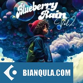 Sound of Milk and Honey Blueberry Rain Vol.2 WAV-FANTASTiC