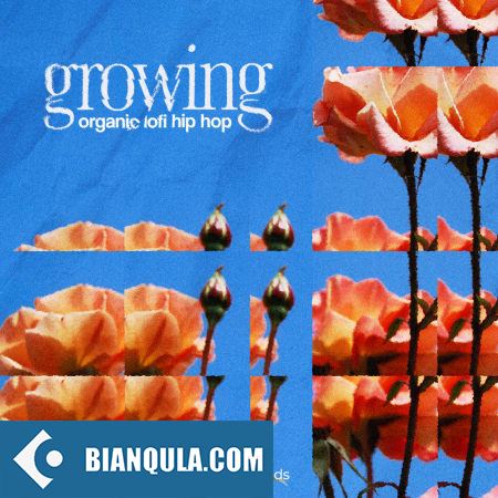 Orbit Sounds Growing organic lofi hip hop WAV-FANTASTiC