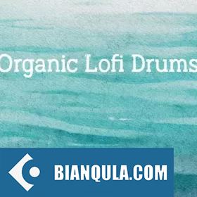 New Loops Organic Lofi Drums WAV-FANTASTiC