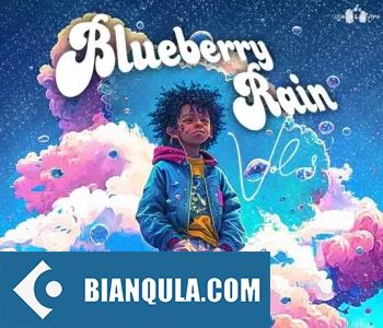 Sound of Milk and Honey Blueberry Rain Vol.3 WAV-FANTASTiC
