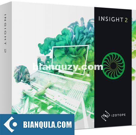 音频分析插件 – iZotope Insight Pro 2.4.0 WIN