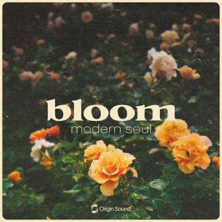 Origin Sound bloom modern soul WAV-FANTASTiC